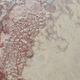 Image for article titled Astronomers Spot Surprising Evidence of Methane Dunes on Pluto